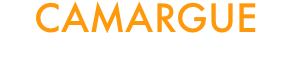 
CAMARGUE
27 - 30 AGOSTO 2020 

  
          