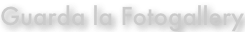 shapeimage_1_link_2